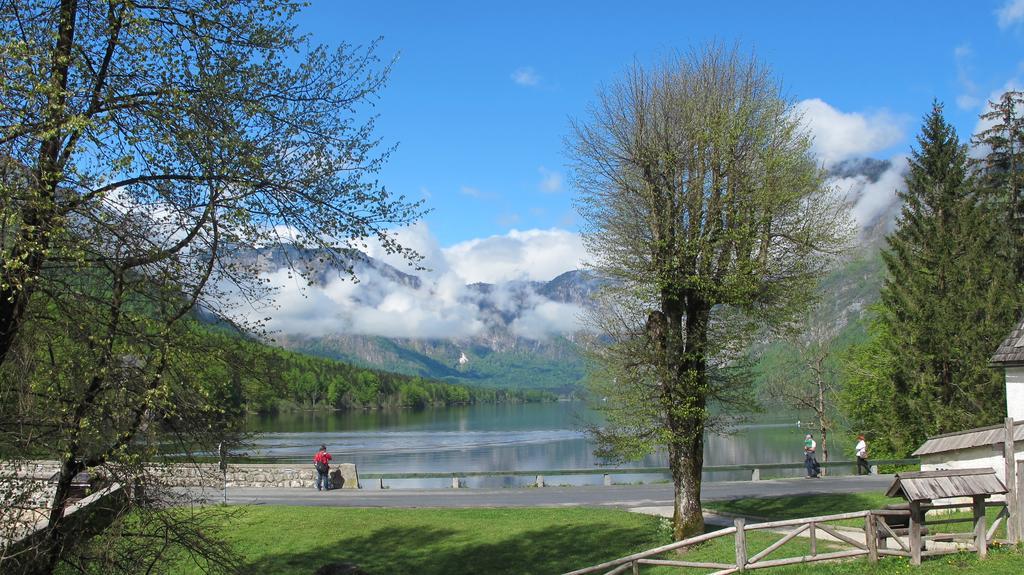 Apartment Zalokar Bohinj Chambre photo